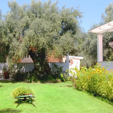 Hector Tatil Evi Lefkáda