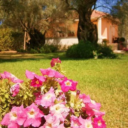 Tatil Evi Hector Lefkáda