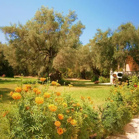 Tatil Evi Hector Lefkáda
