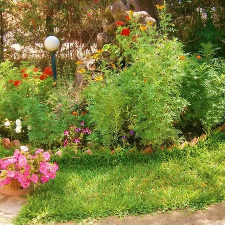 Tatil Evi Hector Lefkáda