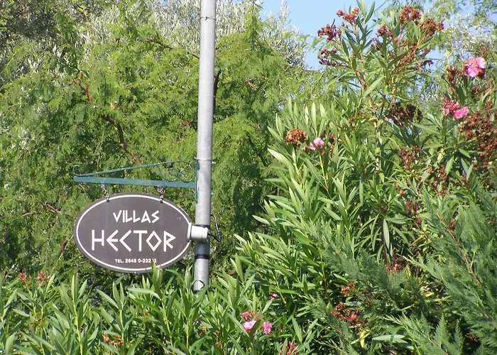 Hector Nyaraló