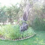 Hector * Λευκάδα