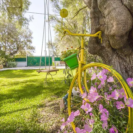 Hector Holiday home Lefkada City
