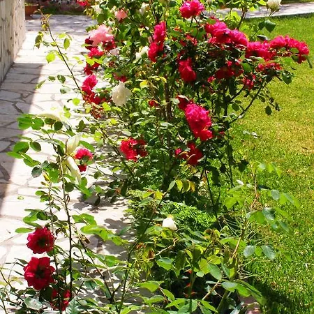 Casa vacanze Hector Lefkáda