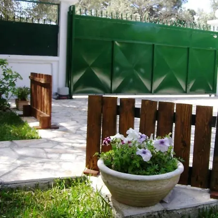 Hector * Lefkada City