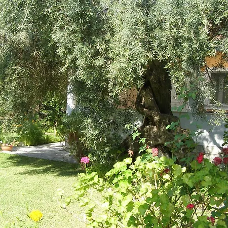 Vakantiehuis Hector *