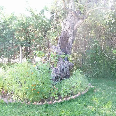 Hector * Lefkada City