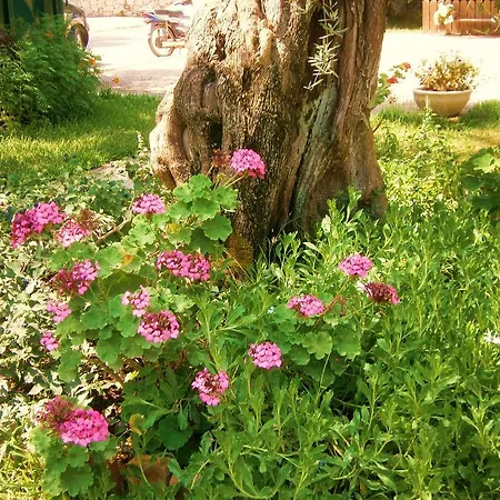 Сasa de vacaciones Hector