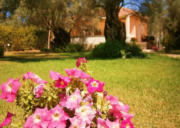 Casa de Férias Hector Lefkáda