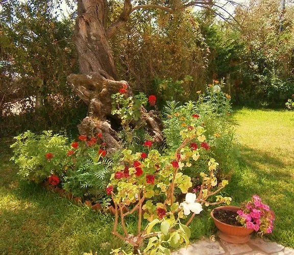 Casa de Férias Hector *
